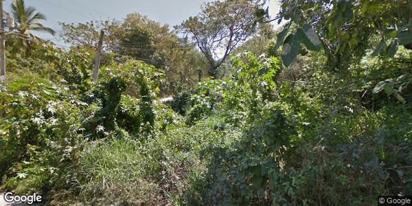 CENTRO DE ACOPIO ANIMAL